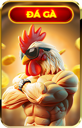 Đá gà n188