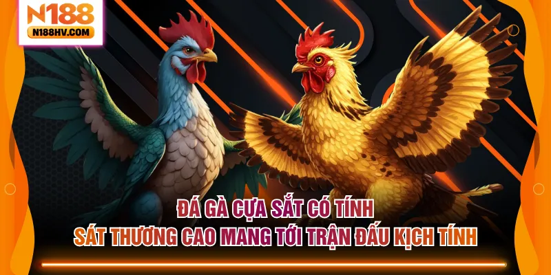 Đá gà cựa sắt có tính sát thương cao mang tới trận đấu kịch tính
